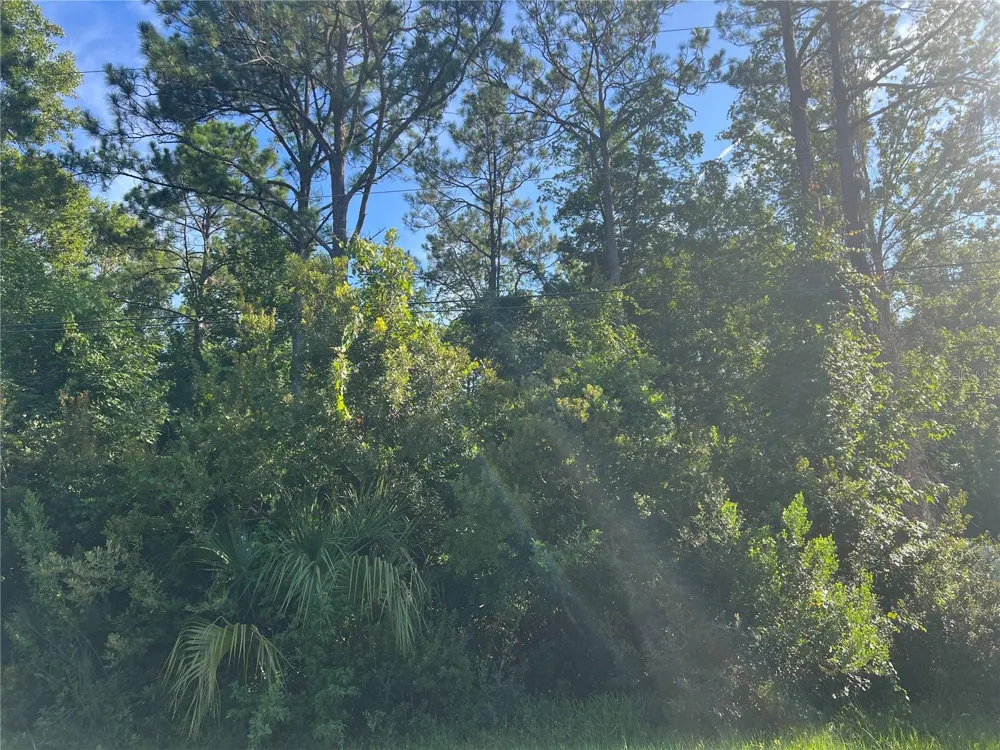 41 RIVERA LANE Palm Coast, FL 32164
