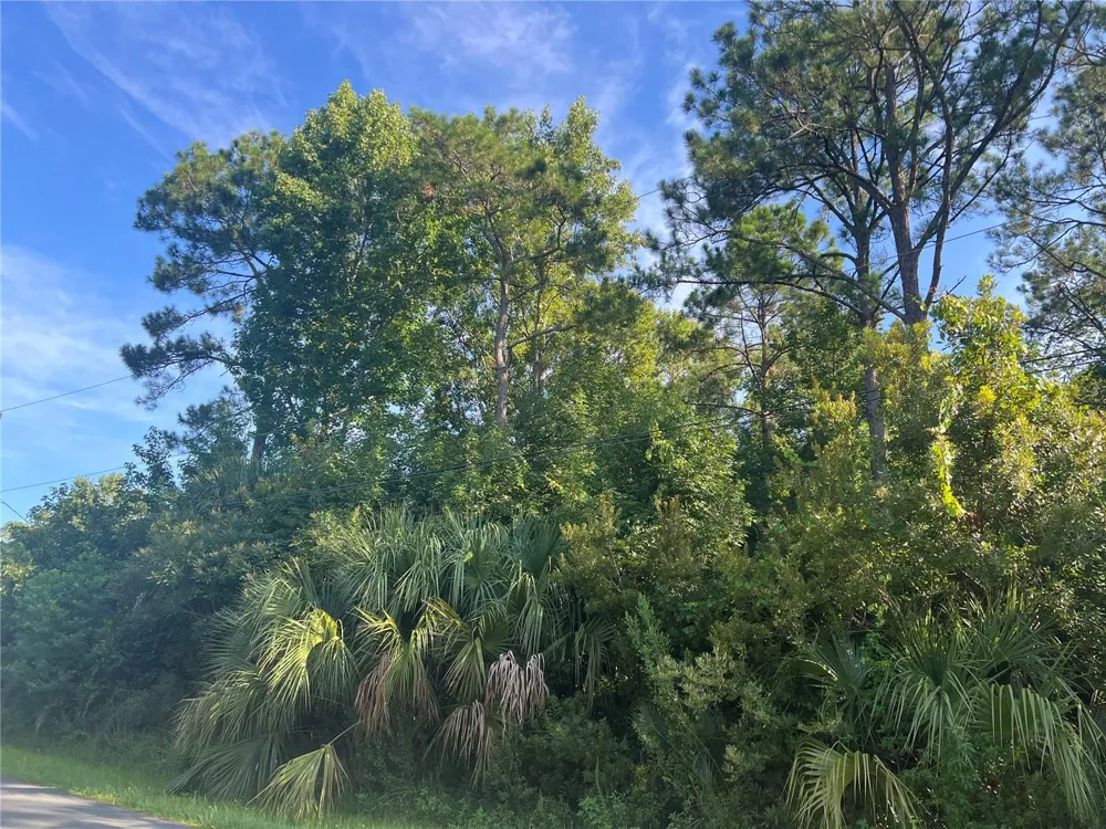 41 RIVERA LANE Palm Coast, FL 32164