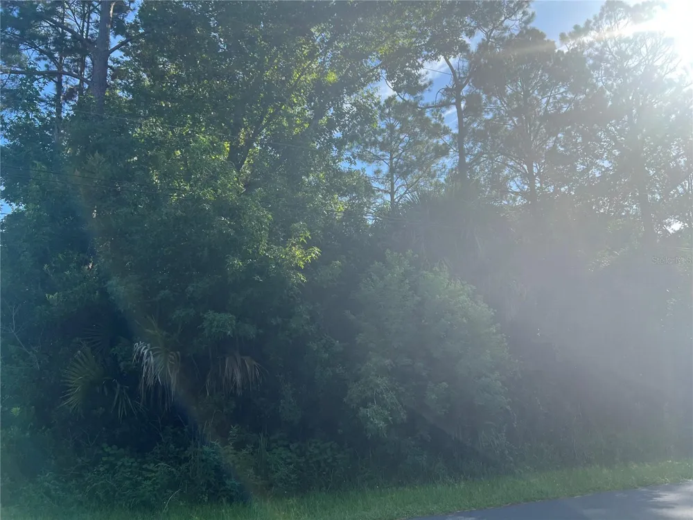 41 RIVERA LANE Palm Coast, FL 32164