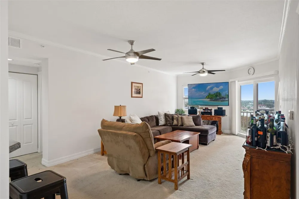 4516 SEAGULL DRIVE #614 New Port Richey, FL 34652