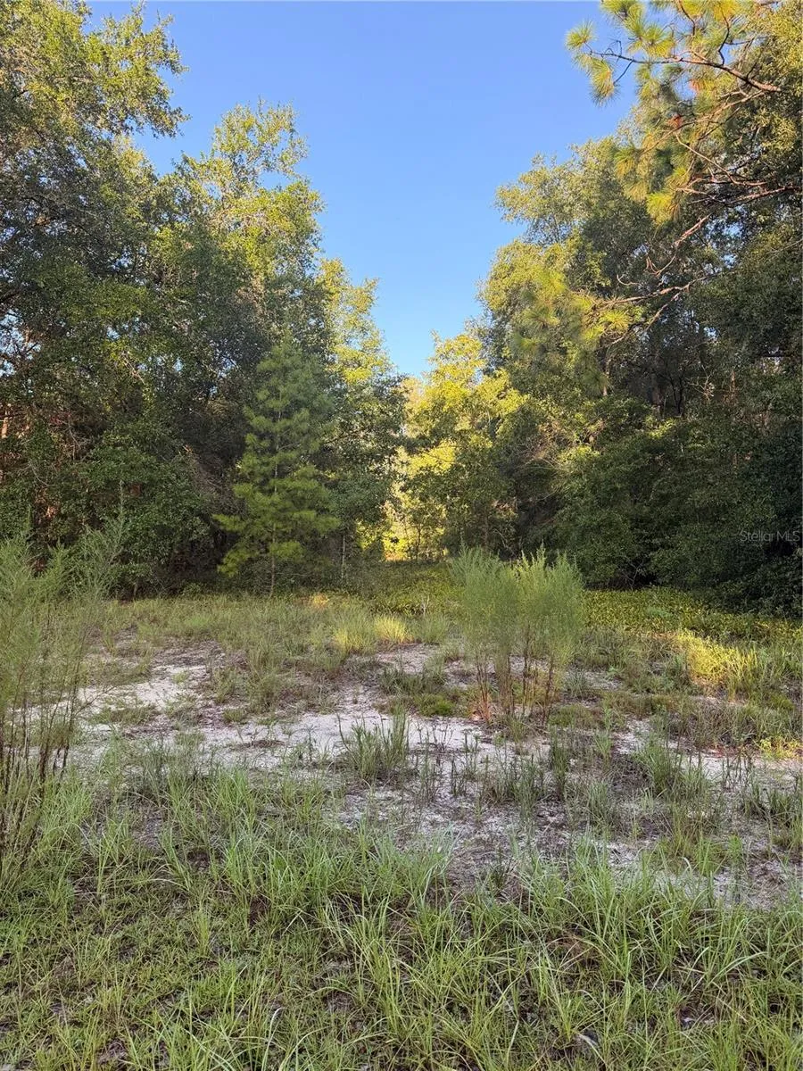 115 ORANGE TREE COURT Melrose, FL 32666