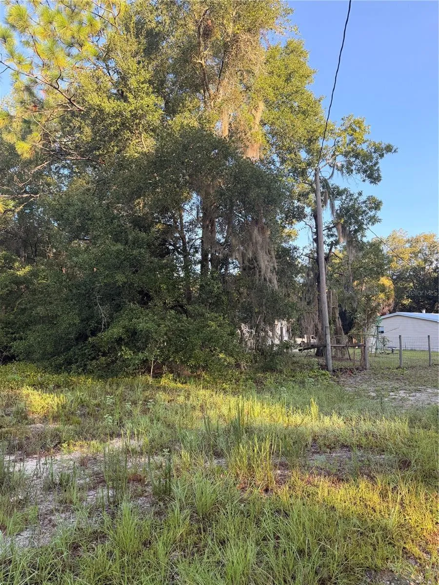 115 ORANGE TREE COURT Melrose, FL 32666