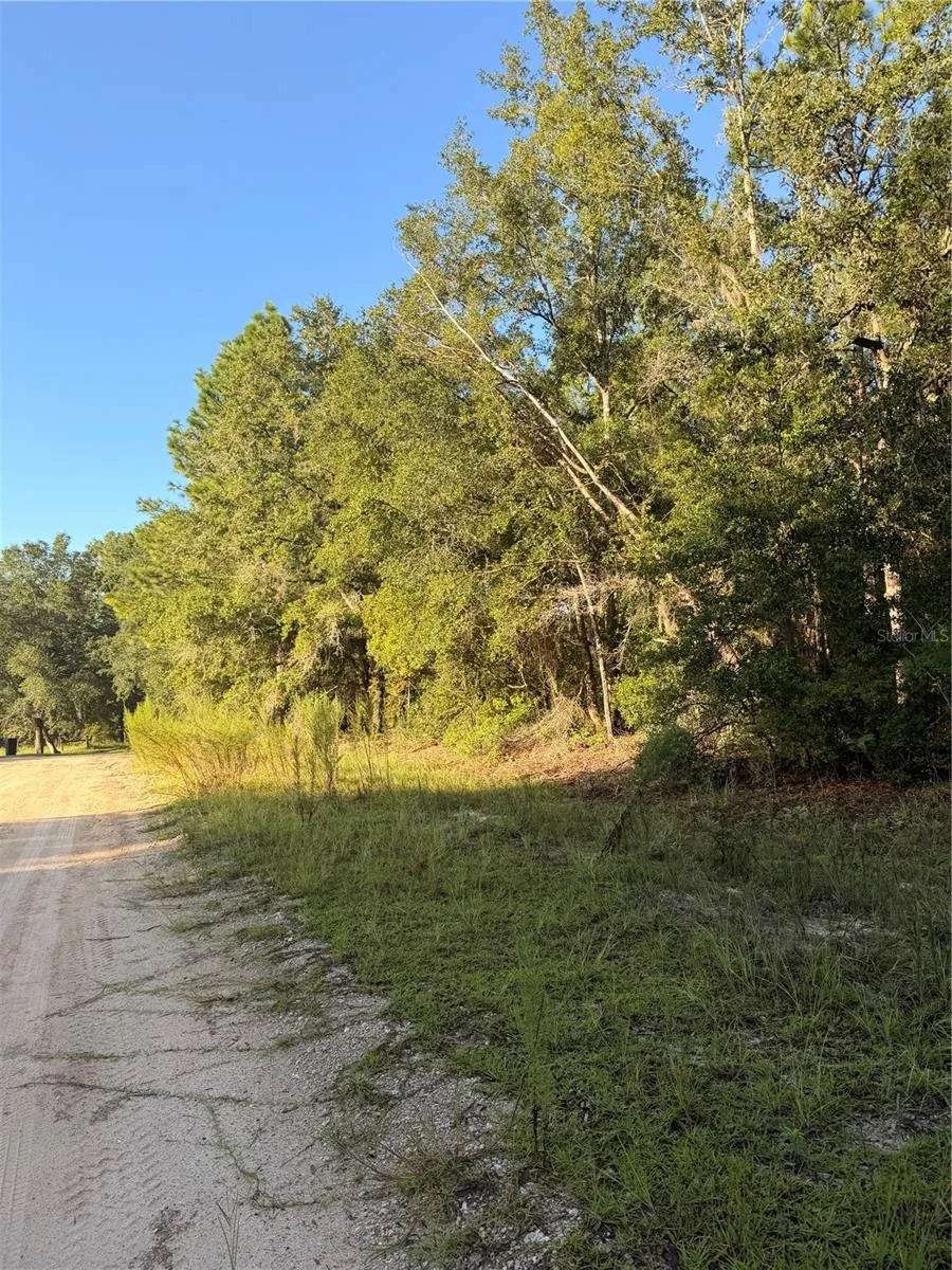 115 ORANGE TREE COURT Melrose, FL 32666