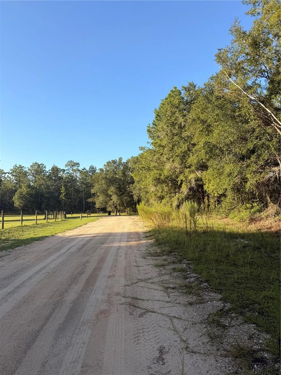 115 ORANGE TREE COURT Melrose, FL 32666