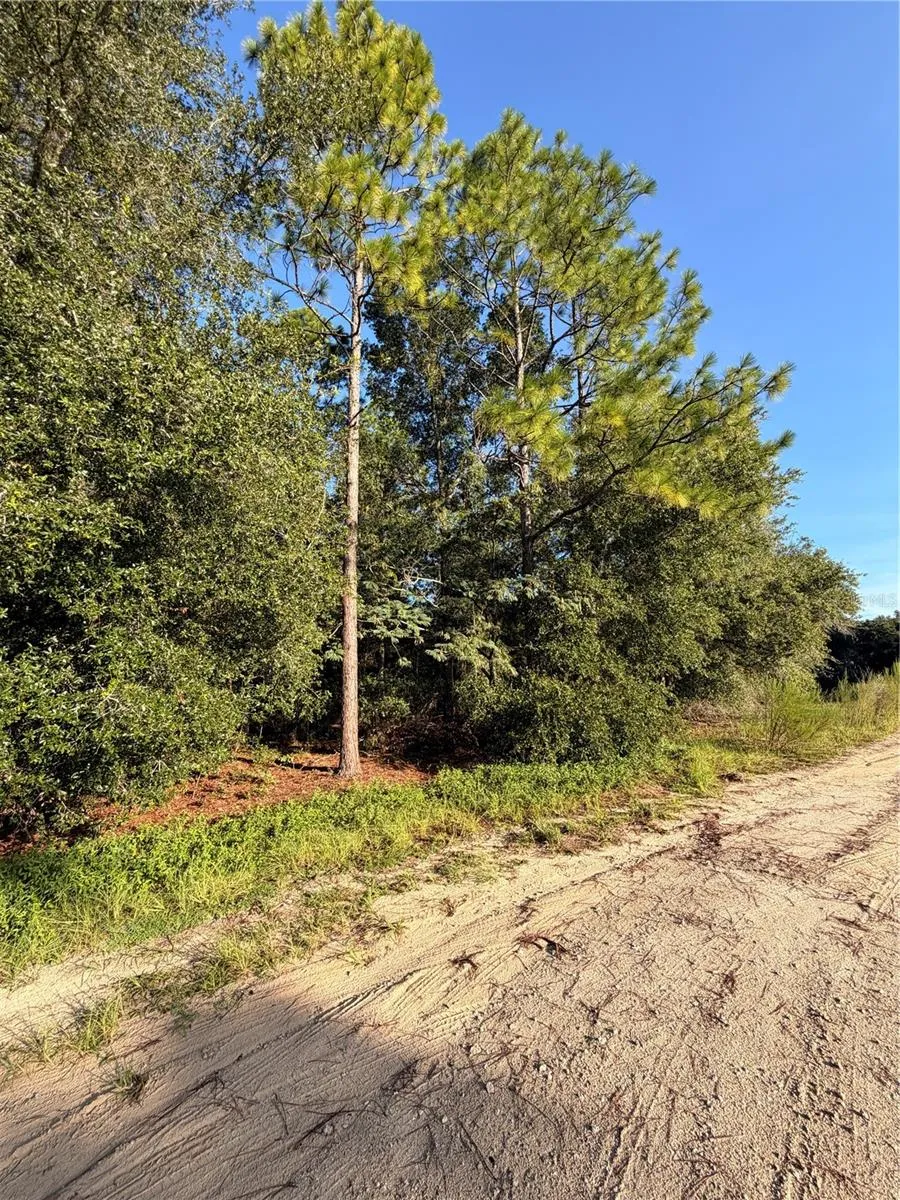 115 ORANGE TREE COURT Melrose, FL 32666