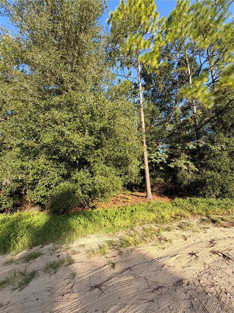 115 ORANGE TREE COURT Melrose, FL 32666
