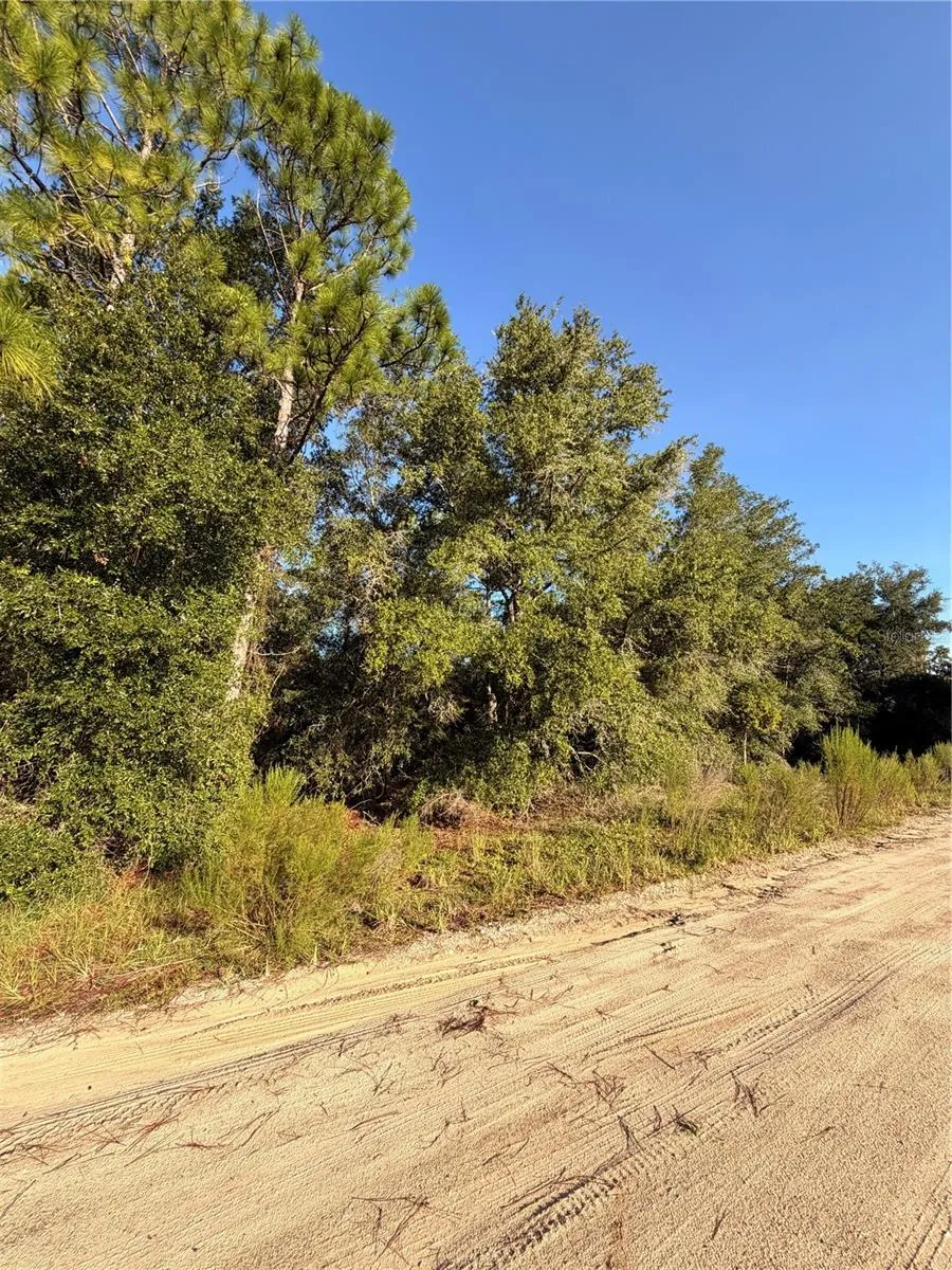 115 ORANGE TREE COURT Melrose, FL 32666