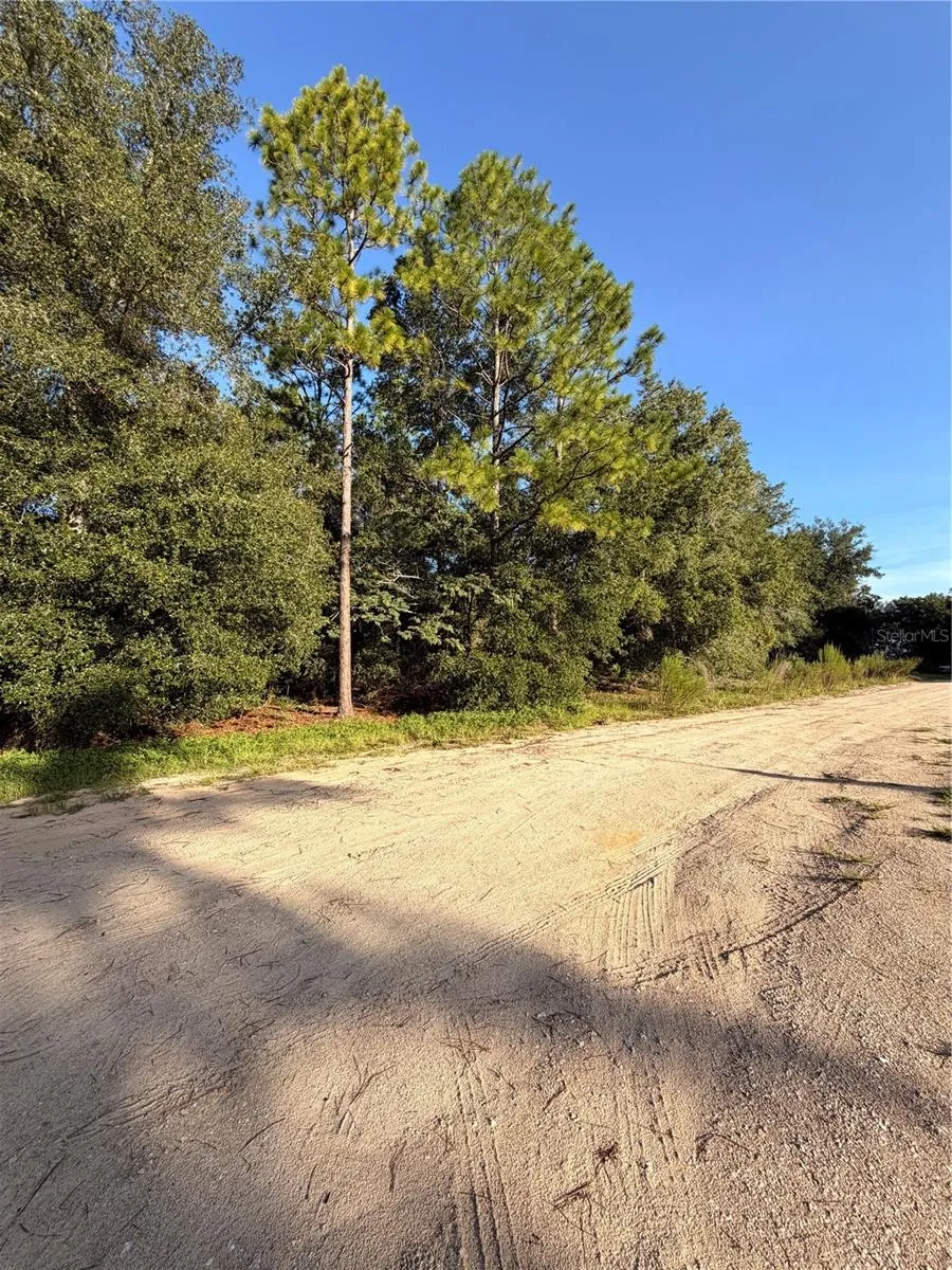 115 ORANGE TREE COURT Melrose, FL 32666