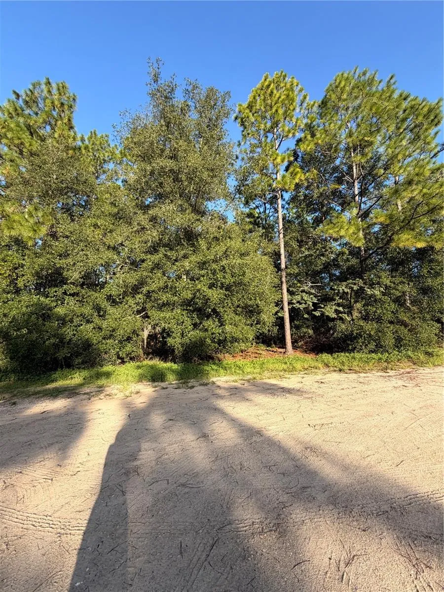 115 ORANGE TREE COURT Melrose, FL 32666