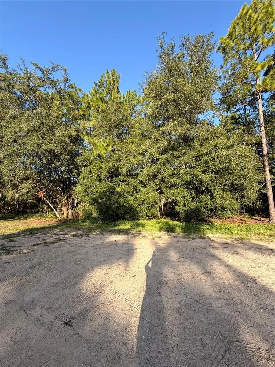 115 ORANGE TREE COURT Melrose, FL 32666