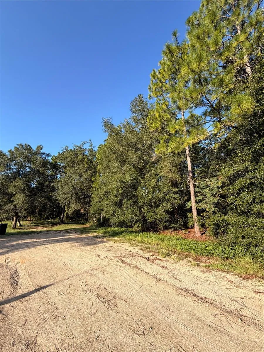 115 ORANGE TREE COURT Melrose, FL 32666