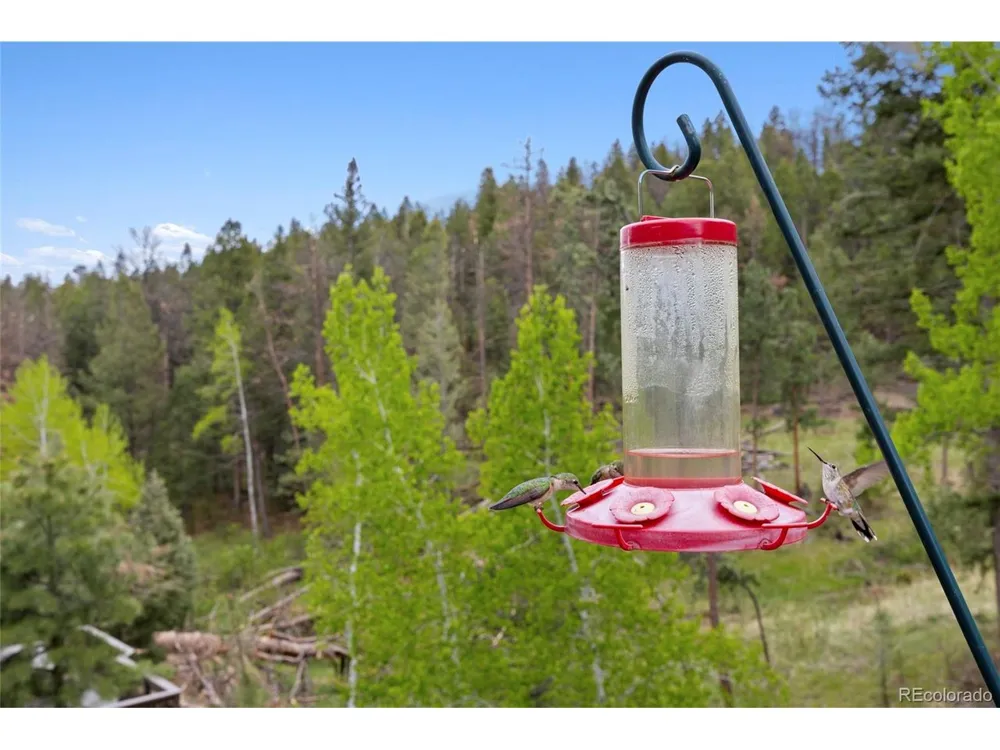 504 Broken Arrow Road Evergreen, CO 80439