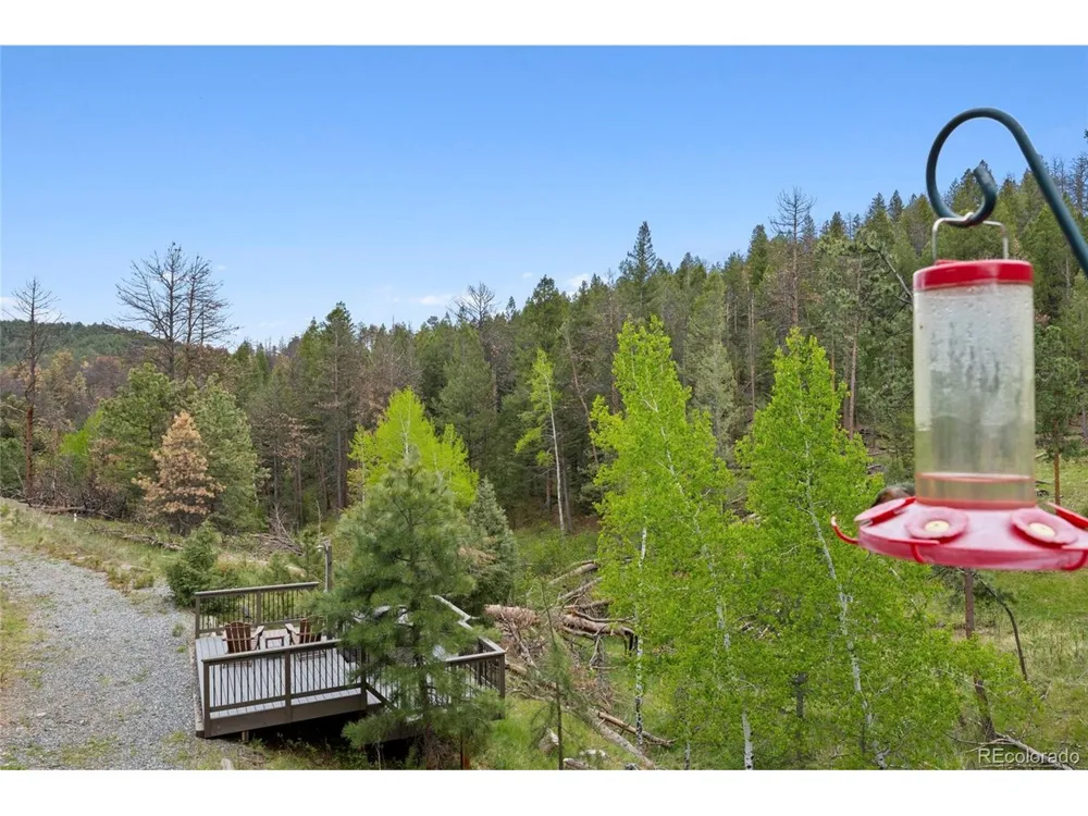 504 Broken Arrow Road Evergreen, CO 80439