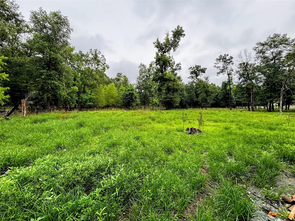 214 Mills Drive Livingston, TX 77351