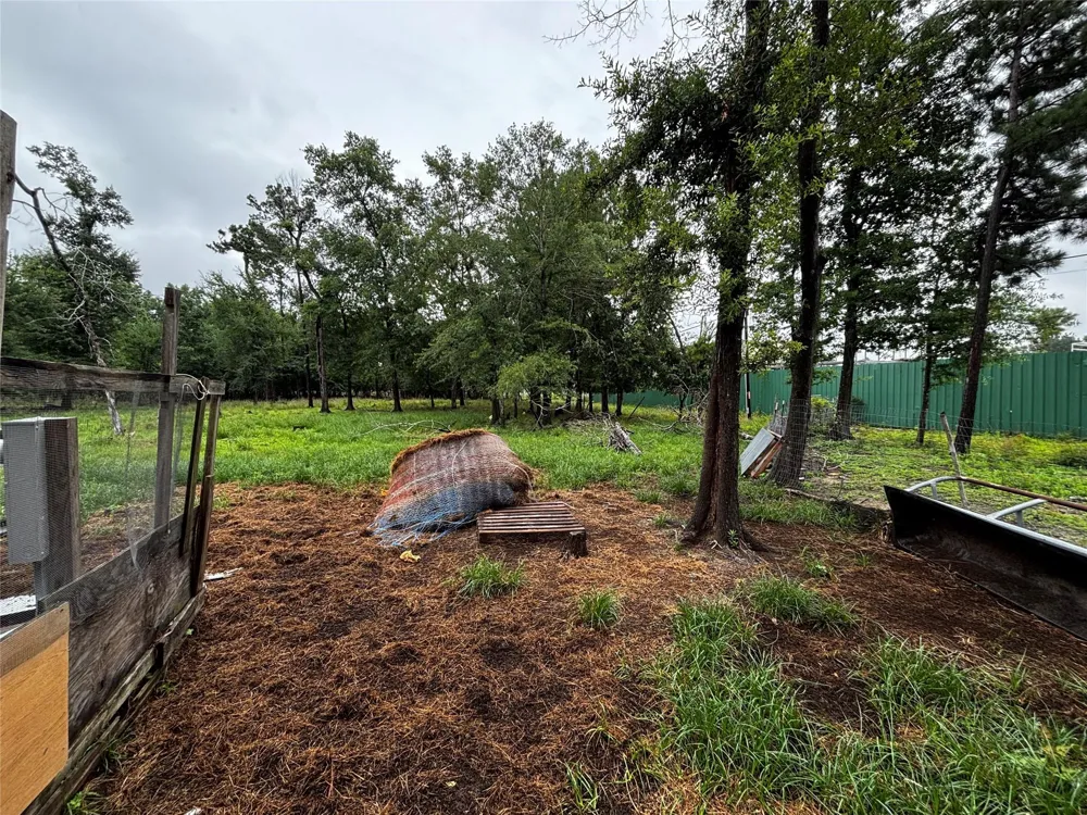 214 Mills Drive Livingston, TX 77351