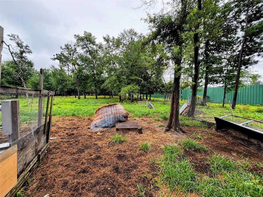 214 Mills Drive Livingston, TX 77351