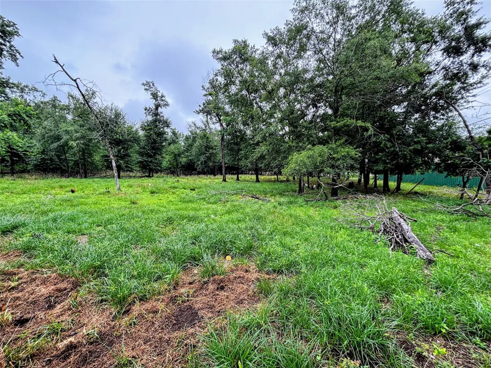 214 Mills Drive Livingston, TX 77351