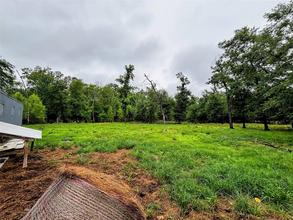 214 Mills Drive Livingston, TX 77351