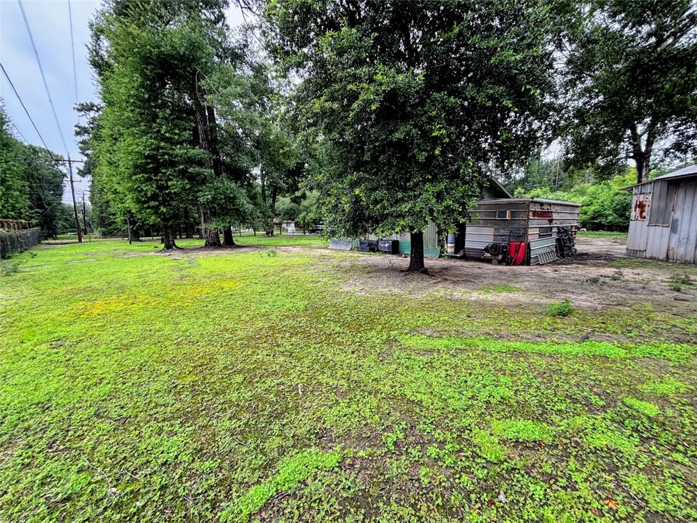 214 Mills Drive Livingston, TX 77351