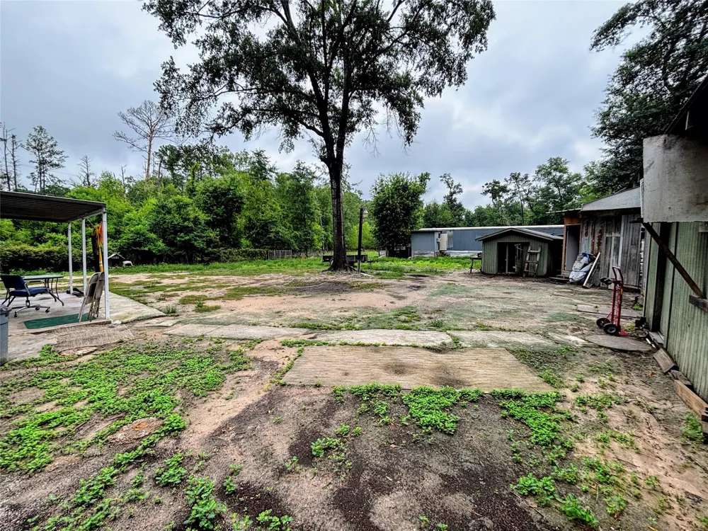 214 Mills Drive Livingston, TX 77351