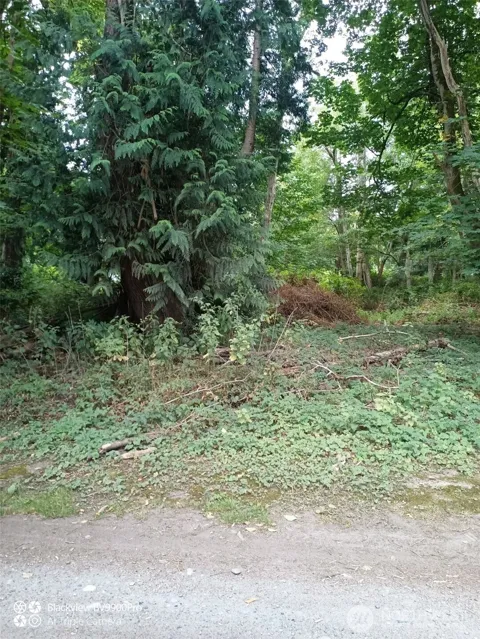 51 F Saratoga Drive