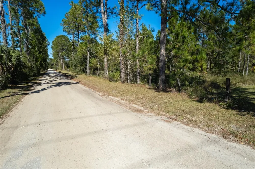 108 WILLIS ROAD Interlachen, FL 32148