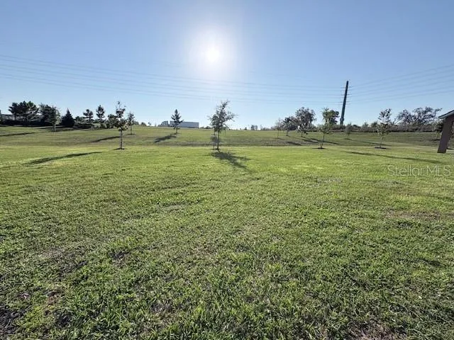 2668 SPIDER LILY COURT Clermont, FL 34711