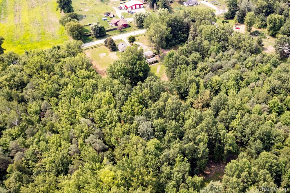11308 Wilson Road Montrose Charter Township, MI 48457
