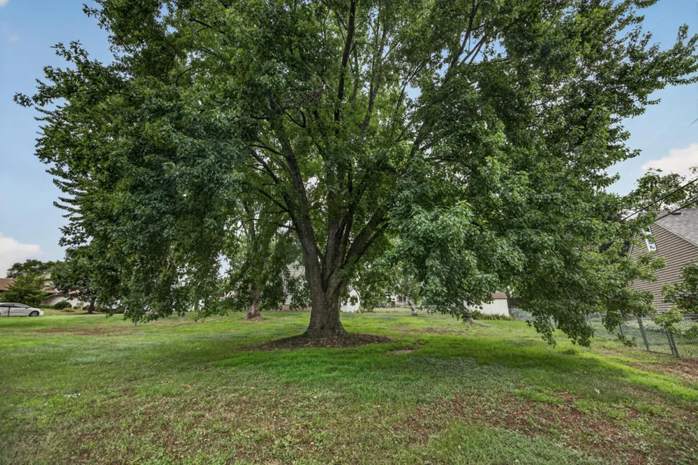 1220 Frisbie Avenue Maplewood, MN 55109