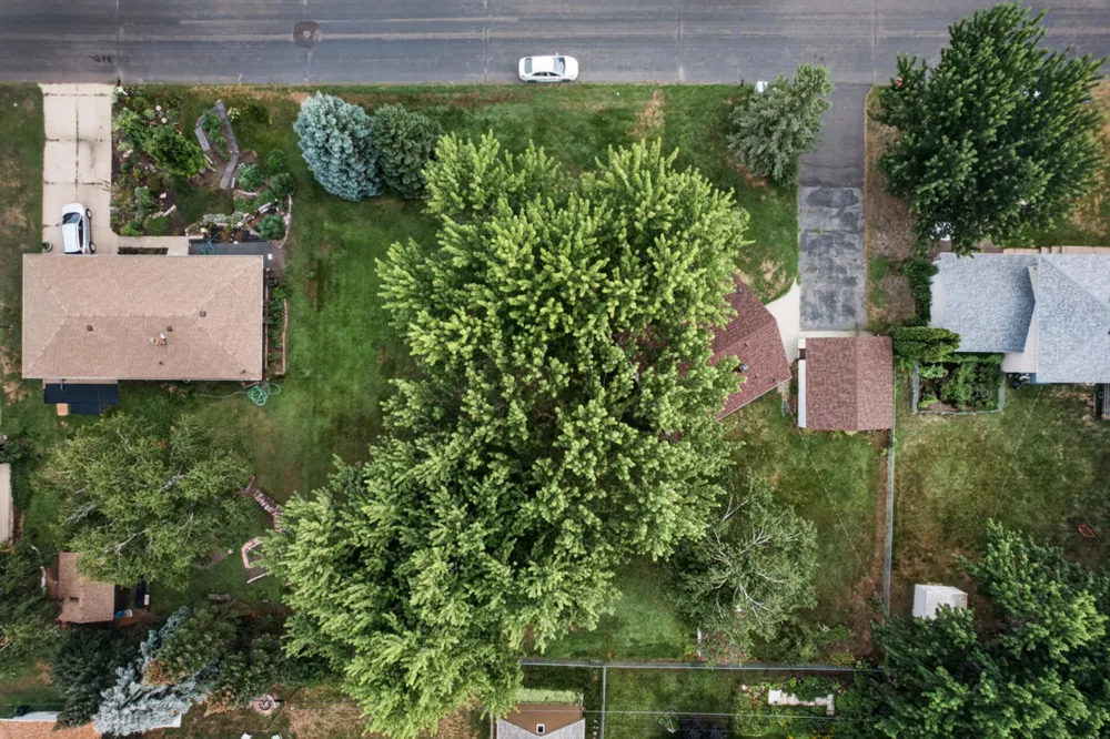 1220 Frisbie Avenue Maplewood, MN 55109
