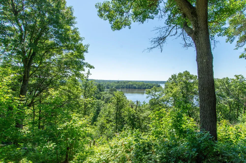 16296 Tower Drive Brainerd, MN 56401