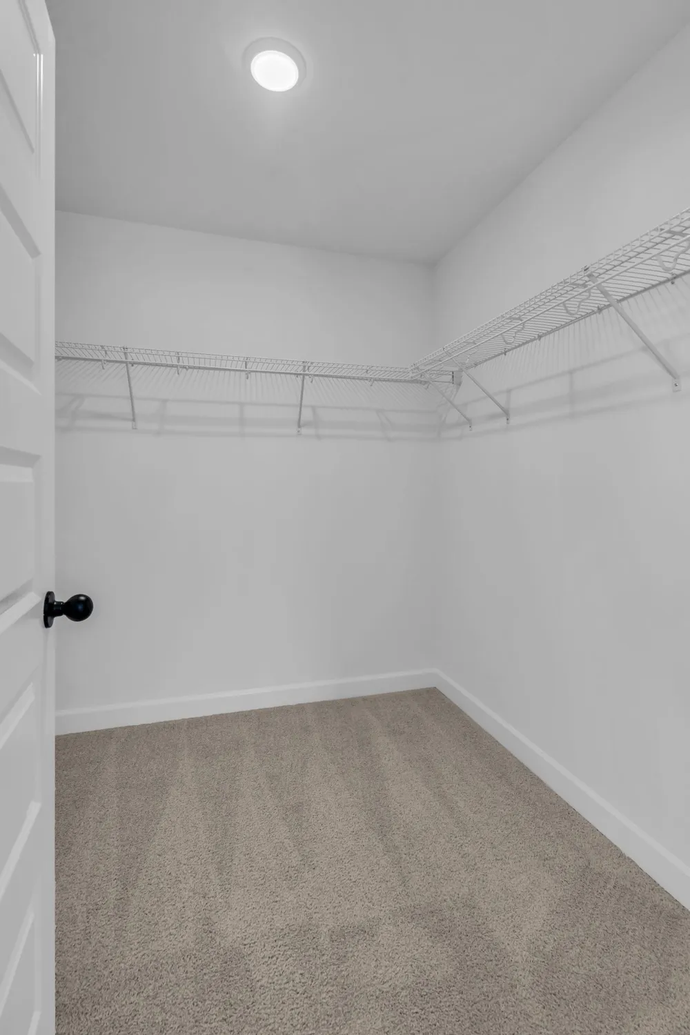 348 Twig PVT Ct Hendersonville, TN 37075