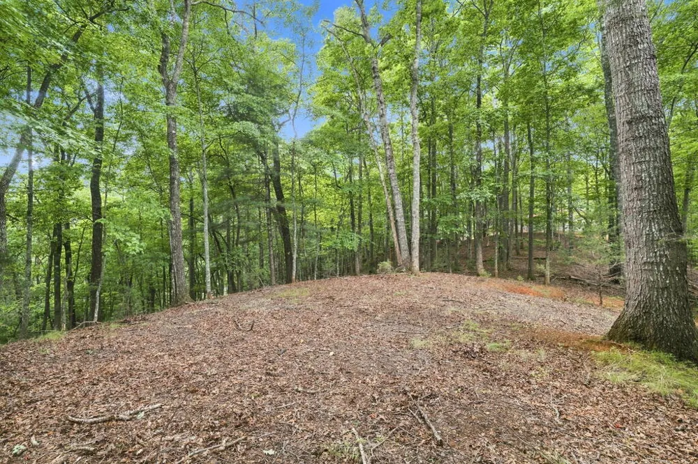 Willow Wind Heights Franklin, NC 28734
