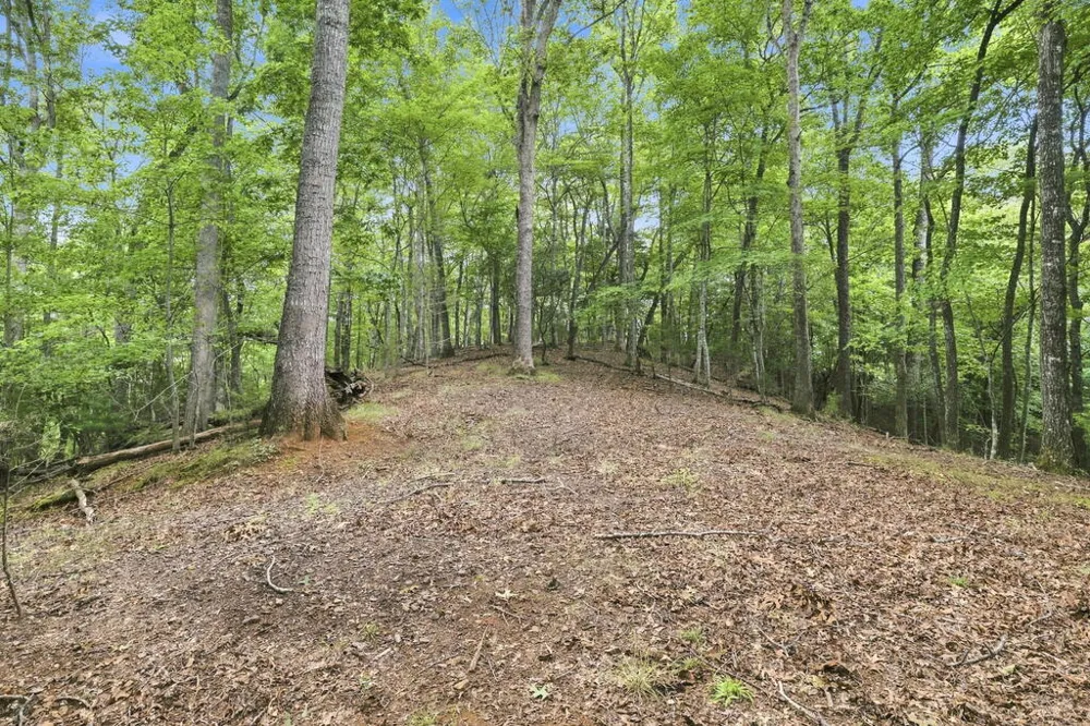 Willow Wind Heights Franklin, NC 28734