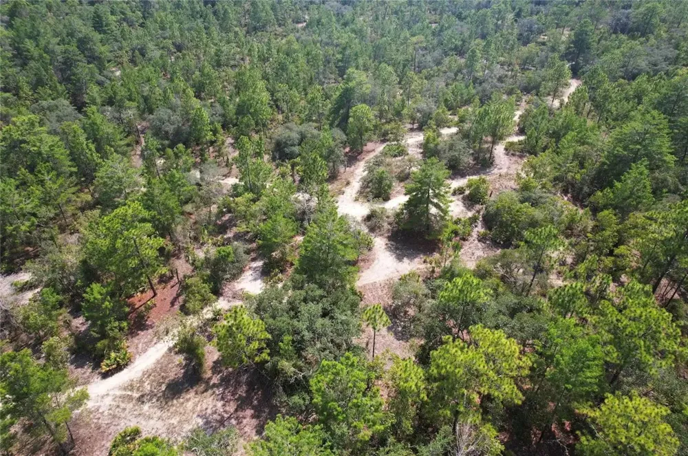 6496 BERNZOTT POINT Dunnellon, FL 34433