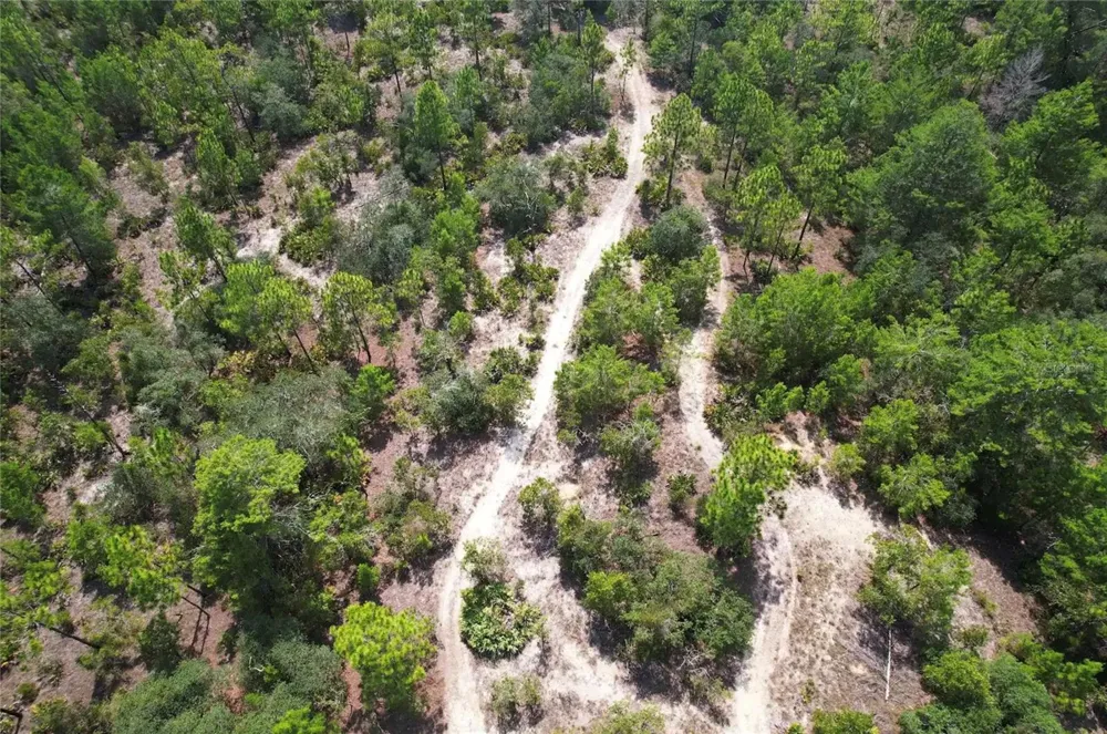 6496 BERNZOTT POINT Dunnellon, FL 34433
