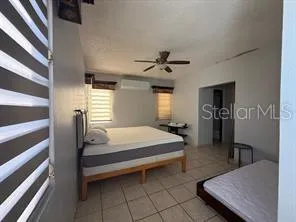 Carr. 474 BARRIO MANZANO Isabela, PR 00662