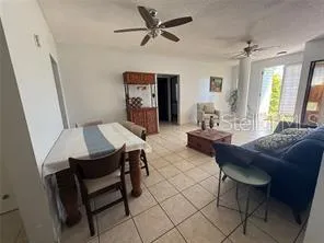 Carr. 474 BARRIO MANZANO Isabela, PR 00662