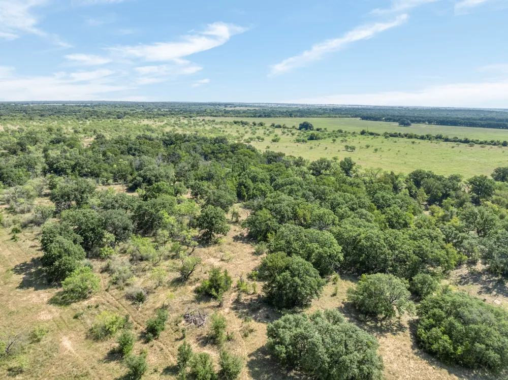 193 CR Comanche, TX 76442
