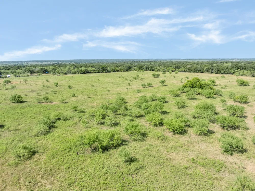 193 CR Comanche, TX 76442