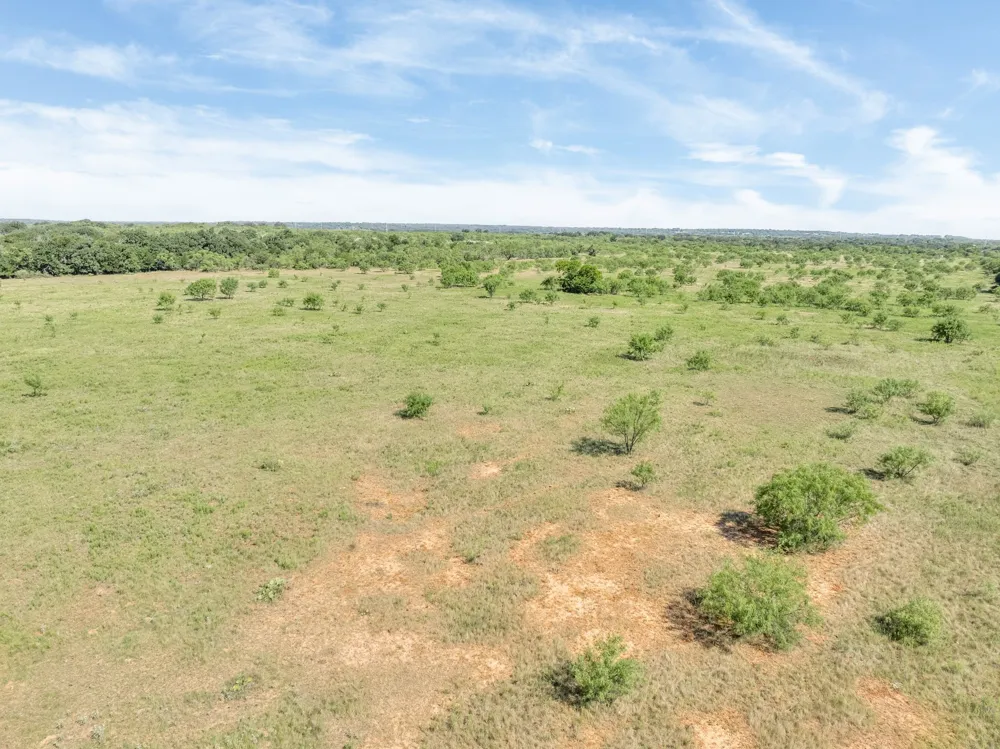 193 CR Comanche, TX 76442