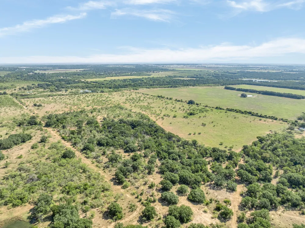 193 CR Comanche, TX 76442