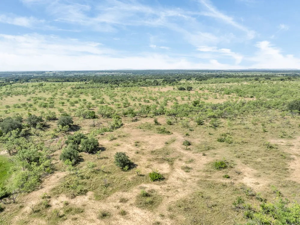 193 CR Comanche, TX 76442
