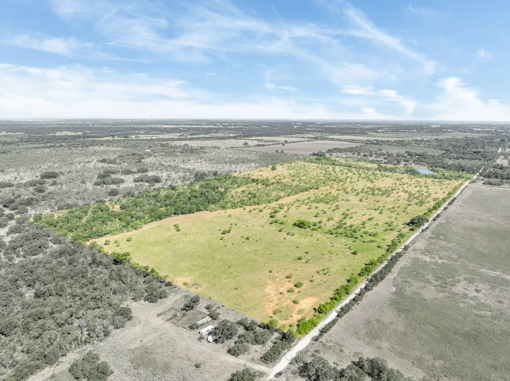 193 CR Comanche, TX 76442