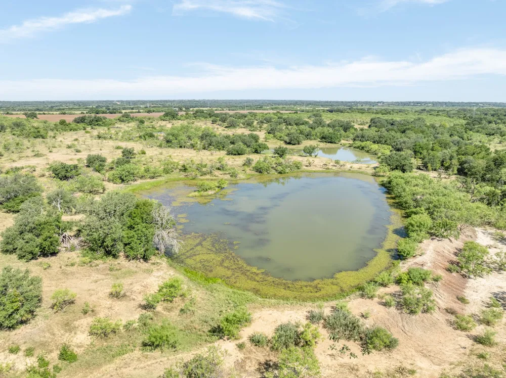 193 CR Comanche, TX 76442