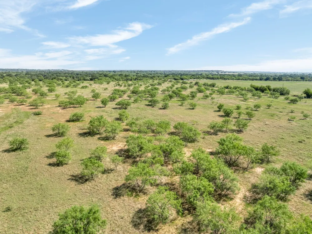193 CR Comanche, TX 76442