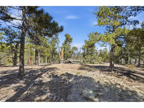 33149 Janelle Circle