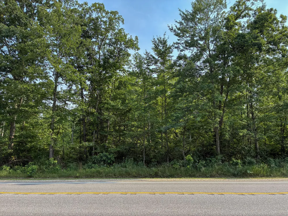 E Jackson Street White Cloud, MI 49349