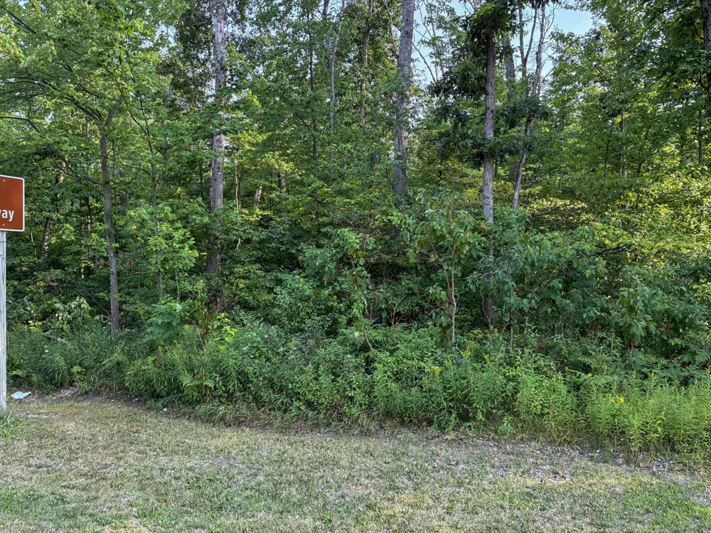 E Jackson Street White Cloud, MI 49349