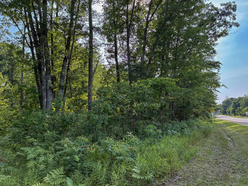 E Jackson Street White Cloud, MI 49349